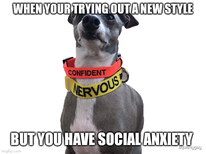 Relatable | WHEN YOUR TRYING OUT A NEW STYLE; BUT YOU HAVE SOCIAL ANXIETY | image tagged in memes,funny,anxiety | made w/ Imgflip meme maker
