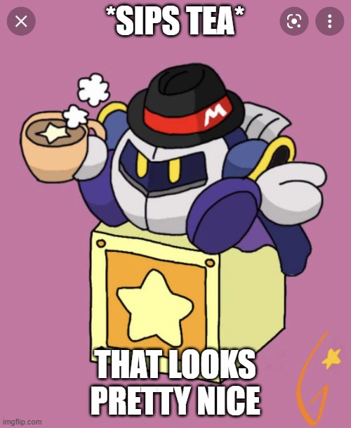 Meta Knight having a cup of tea | *SIPS TEA* THAT LOOKS PRETTY NICE | image tagged in meta knight having a cup of tea | made w/ Imgflip meme maker