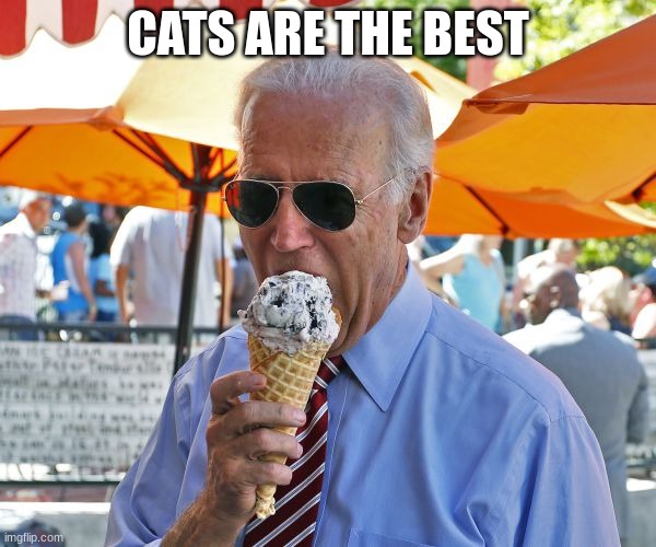 Joe Biden eating ice cream | CATS ARE THE BEST | image tagged in joe biden eating ice cream | made w/ Imgflip meme maker