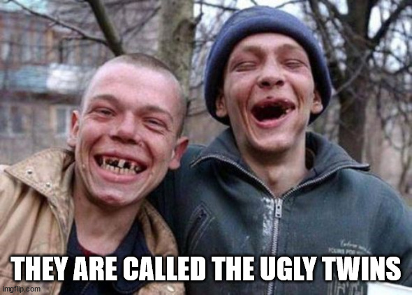 Ugly Twins Meme | THEY ARE CALLED THE UGLY TWINS | image tagged in memes,ugly twins | made w/ Imgflip meme maker