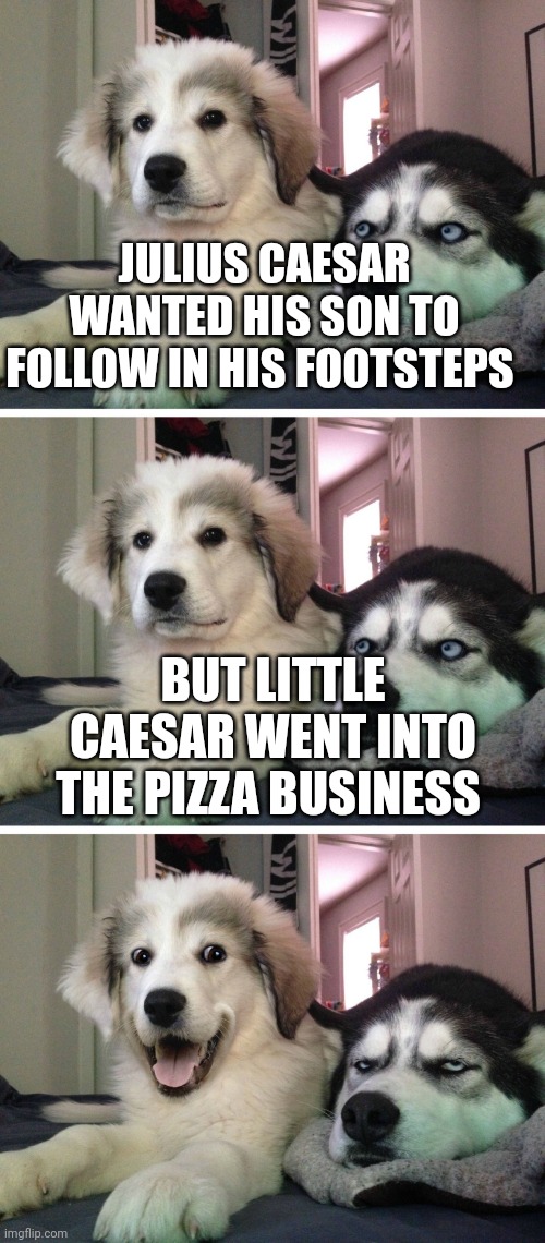 Bad pun dogs | JULIUS CAESAR WANTED HIS SON TO FOLLOW IN HIS FOOTSTEPS; BUT LITTLE CAESAR WENT INTO THE PIZZA BUSINESS | image tagged in bad pun dogs | made w/ Imgflip meme maker