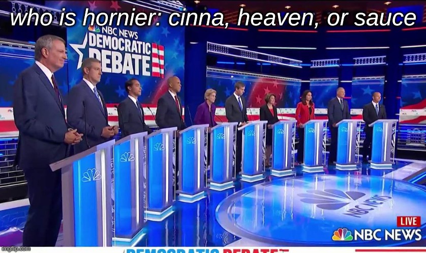a democratic debate | who is hornier: cinna, heaven, or sauce | image tagged in democratic debate | made w/ Imgflip meme maker