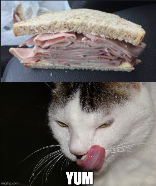 ham | YUM | image tagged in yummy,memes,funny,unfunny | made w/ Imgflip meme maker