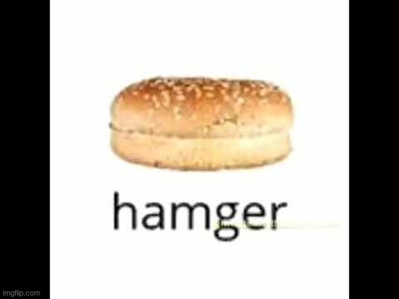 Hamger | image tagged in hamger | made w/ Imgflip meme maker