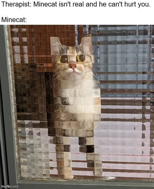 who else wants minecraft cat? | image tagged in minecraft | made w/ Imgflip meme maker