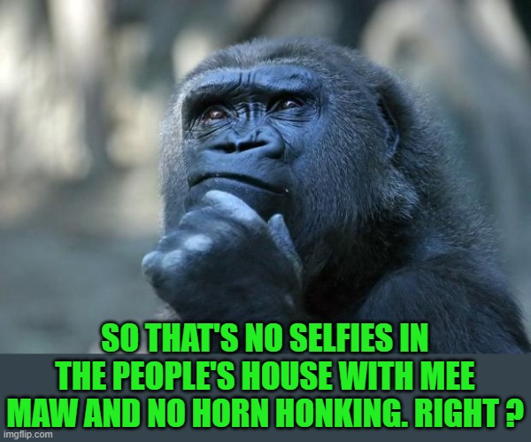 Deep Thoughts | SO THAT'S NO SELFIES IN THE PEOPLE'S HOUSE WITH MEE MAW AND NO HORN HONKING. RIGHT ? | image tagged in deep thoughts | made w/ Imgflip meme maker