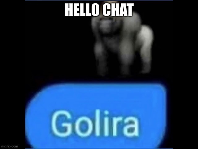 Golira | HELLO CHAT | image tagged in golira | made w/ Imgflip meme maker