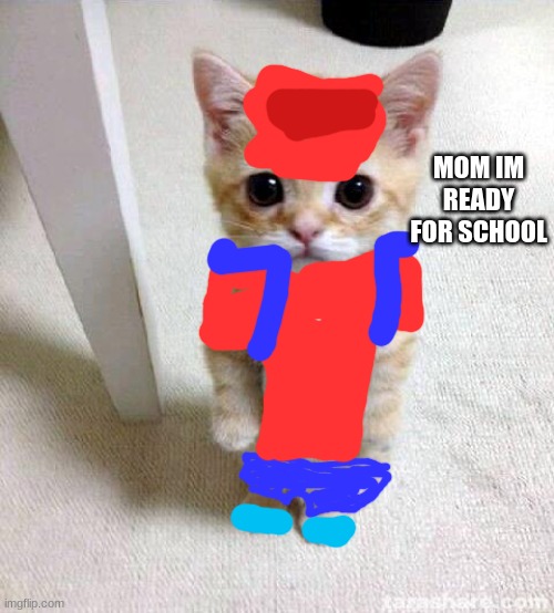 cat school | MOM IM READY FOR SCHOOL | image tagged in memes,cute cat | made w/ Imgflip meme maker