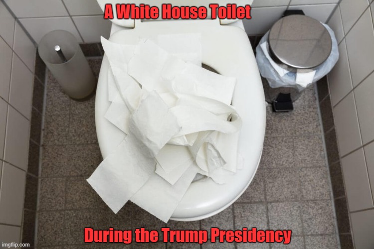 Papers were found clogging up toilets in the White House residence during Donald Trump’s presidency | A White House Toilet; During the Trump Presidency | image tagged in donald trump is an idiot,national archives,presidential records act | made w/ Imgflip meme maker