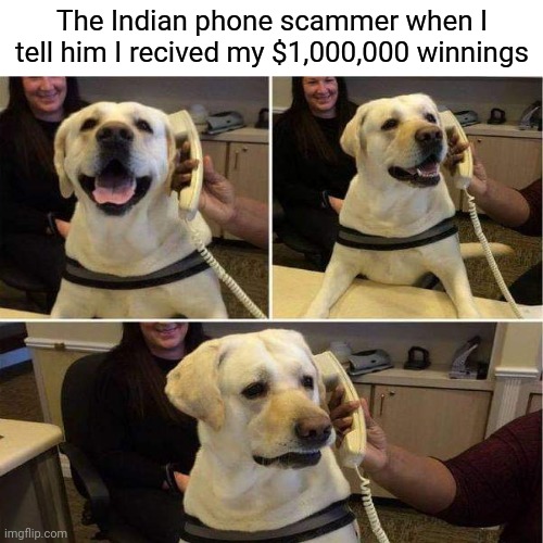 Hol up' | The Indian phone scammer when I tell him I recived my $1,000,000 winnings | image tagged in memes,funny memes,meme,dogs,phone | made w/ Imgflip meme maker