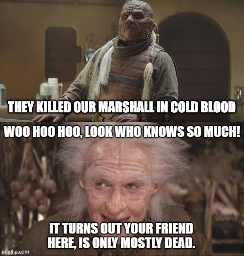 Boba spoiler | THEY KILLED OUR MARSHALL IN COLD BLOOD | image tagged in boba fett,mandolorian | made w/ Imgflip meme maker
