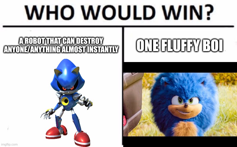 hudhfsdfakdsfjh | A ROBOT THAT CAN DESTROY ANYONE/ANYTHING ALMOST INSTANTLY; ONE FLUFFY BOI | image tagged in who would win,fluffy sonic,metal sonic,sonic the hedgehog,sonic movie,stop reading the tags | made w/ Imgflip meme maker