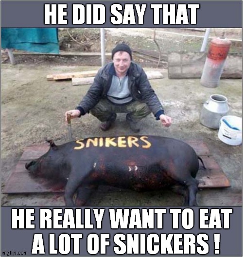 Bad Speller True To His Word ! | HE DID SAY THAT; HE REALLY WANT TO EAT
  A LOT OF SNICKERS ! | image tagged in cooking,eating,snickers,dark humour | made w/ Imgflip meme maker