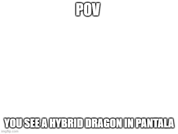 PANTALA | POV; YOU SEE A HYBRID DRAGON IN PANTALA | image tagged in blank white template | made w/ Imgflip meme maker