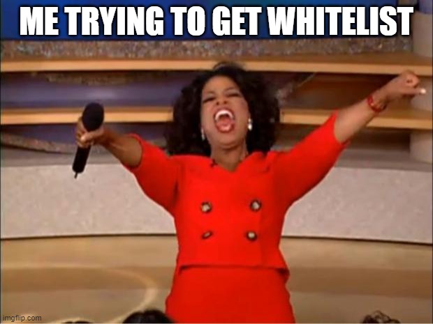 Oprah You Get A Meme | ME TRYING TO GET WHITELIST | image tagged in memes,oprah you get a | made w/ Imgflip meme maker