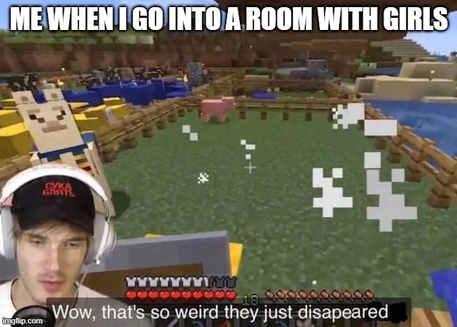 wow..... they just disappeared. | ME WHEN I GO INTO A ROOM WITH GIRLS | image tagged in they just disappeared | made w/ Imgflip meme maker