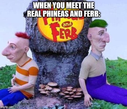 WHEN YOU MEET THE REAL PHINEAS AND FERB: | made w/ Imgflip meme maker
