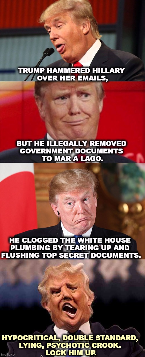 TRUMP HAMMERED HILLARY 
OVER HER EMAILS, BUT HE ILLEGALLY REMOVED 
GOVERNMENT DOCUMENTS 
TO MAR A LAGO. HE CLOGGED THE WHITE HOUSE 
PLUMBING BY TEARING UP AND 
FLUSHING TOP SECRET DOCUMENTS. HYPOCRITICAL, DOUBLE STANDARD, 
LYING, PSYCHOTIC CROOK. 
LOCK HIM UP. | image tagged in trump,destroy,government,records,criminal,crook | made w/ Imgflip meme maker