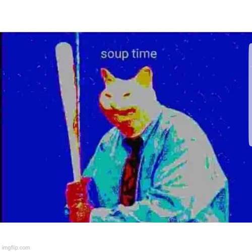 Soup Time Cat | image tagged in soup time cat | made w/ Imgflip meme maker