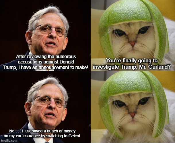 Merrick Garland and the Cat With the Lime Helmet | You're finally going to investigate Trump, Mr. Garland? After reviewing the numerous accusations against Donald Trump, I have an announcement to make! No . . . I just saved a bunch of money on my car insurance by switching to Geico! | image tagged in merrick garland,donald trump,cat with lime helmet | made w/ Imgflip meme maker