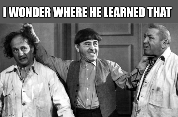 Three Stooges | I WONDER WHERE HE LEARNED THAT | image tagged in three stooges | made w/ Imgflip meme maker