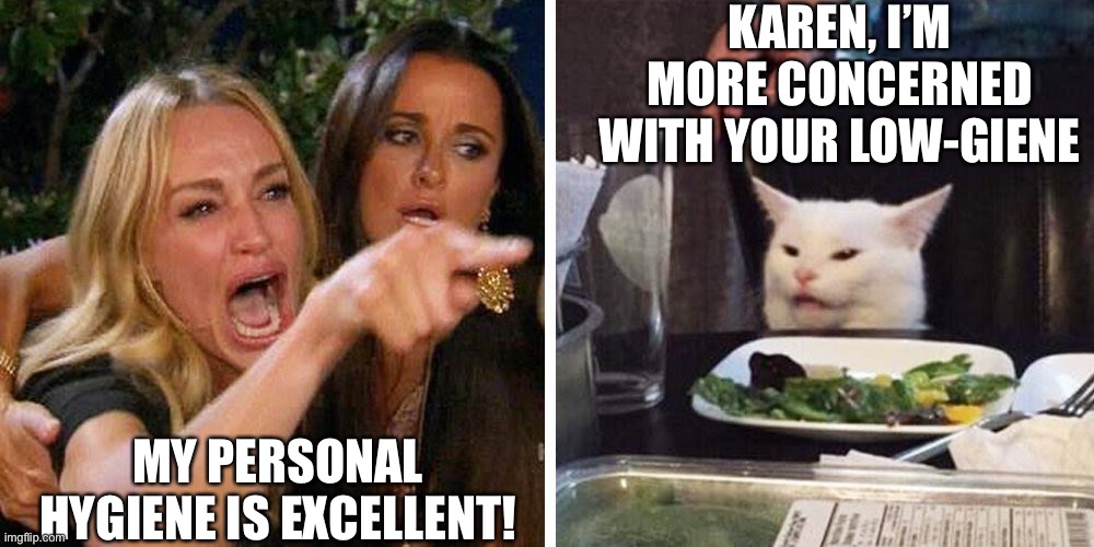 My Personal Hygiene Is EXCELLENT! | KAREN, I’M MORE CONCERNED WITH YOUR LOW-GIENE; MY PERSONAL HYGIENE IS EXCELLENT! | image tagged in smudge the cat | made w/ Imgflip meme maker