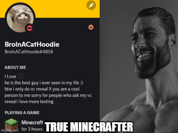 True Minecrafter | TRUE MINECRAFTER | image tagged in minecraft memes | made w/ Imgflip meme maker