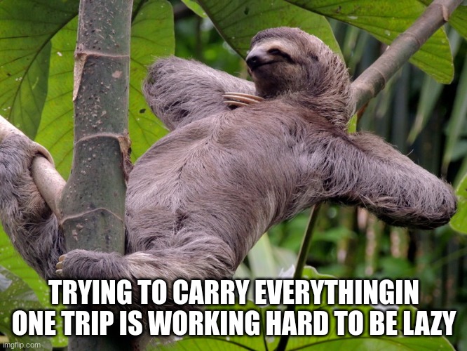 Lazy Sloth | TRYING TO CARRY EVERYTHINGIN ONE TRIP IS WORKING HARD TO BE LAZY | image tagged in lazy sloth | made w/ Imgflip meme maker