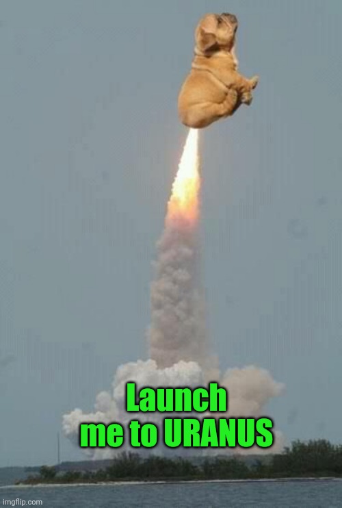 Nah, it got launched FROM Uranus | Launch me to URANUS | image tagged in dog fart | made w/ Imgflip meme maker