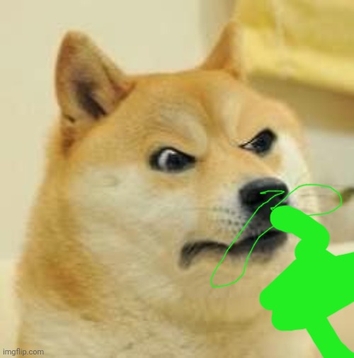 angry doge | image tagged in angry doge | made w/ Imgflip meme maker