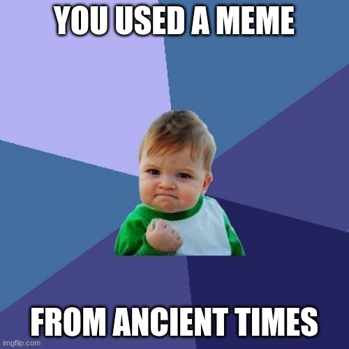 Success Kid Meme | YOU USED A MEME FROM ANCIENT TIMES | image tagged in memes,success kid | made w/ Imgflip meme maker