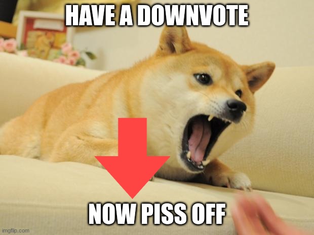 no title |  HAVE A DOWNVOTE; NOW PISS OFF | image tagged in angry doge | made w/ Imgflip meme maker