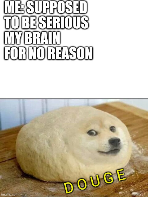 dough doge | ME: SUPPOSED TO BE SERIOUS
MY BRAIN FOR NO REASON; D O U G E | image tagged in dough doge | made w/ Imgflip meme maker