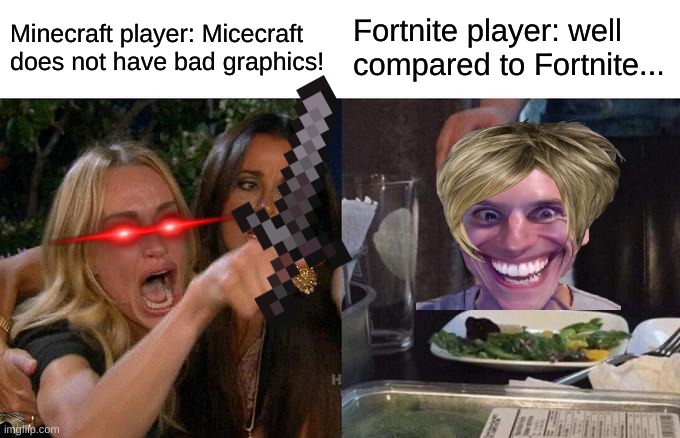 Woman Yelling At Cat | Minecraft player: Micecraft does not have bad graphics! Fortnite player: well compared to Fortnite... | image tagged in memes,woman yelling at cat | made w/ Imgflip meme maker
