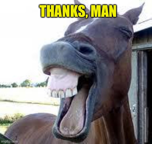 horse happy | THANKS, MAN | image tagged in horse happy | made w/ Imgflip meme maker