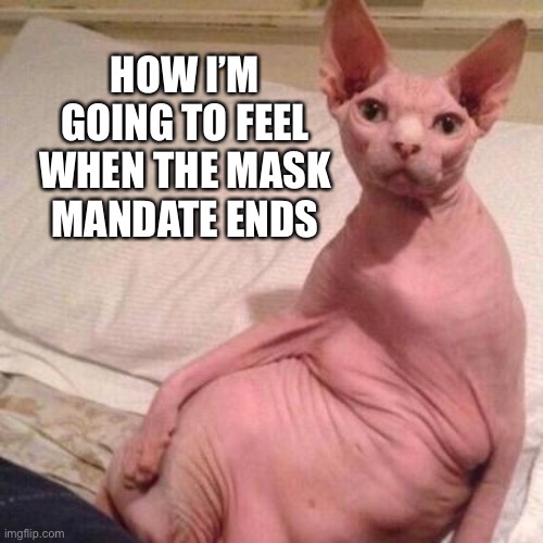Naked cat | HOW I’M GOING TO FEEL WHEN THE MASK MANDATE ENDS | image tagged in naked cat | made w/ Imgflip meme maker