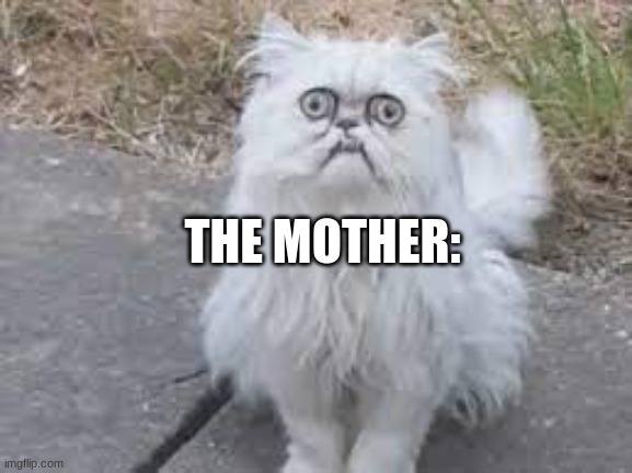 Wilfred Warrior | THE MOTHER: | image tagged in wilfred warrior | made w/ Imgflip meme maker