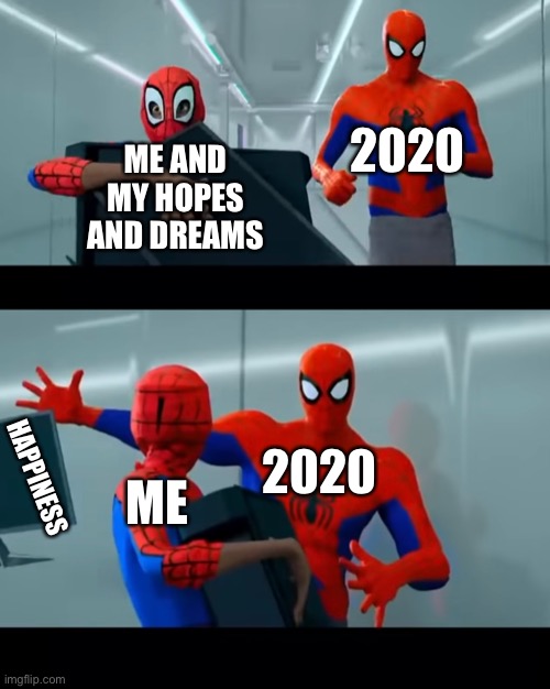 This is how it was for me | ME AND MY HOPES AND DREAMS; 2020; 2020; ME; HAPPINESS | image tagged in newtemplate,tag | made w/ Imgflip meme maker