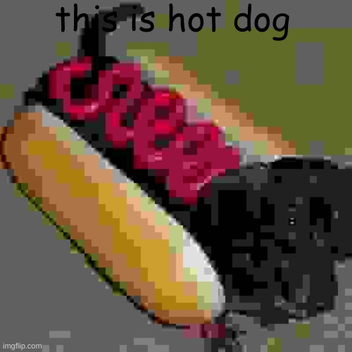 dog | this is hot dog | image tagged in dog | made w/ Imgflip meme maker