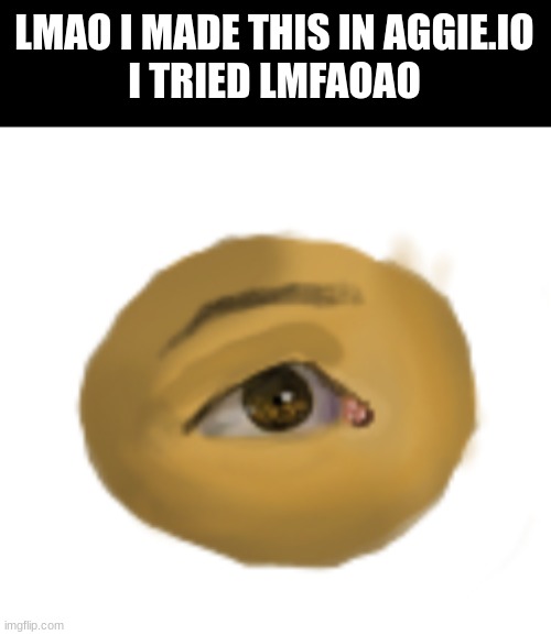 pls dont judge me i am NOT a computer artist XD | LMAO I MADE THIS IN AGGIE.IO

I TRIED LMFAOAO | made w/ Imgflip meme maker