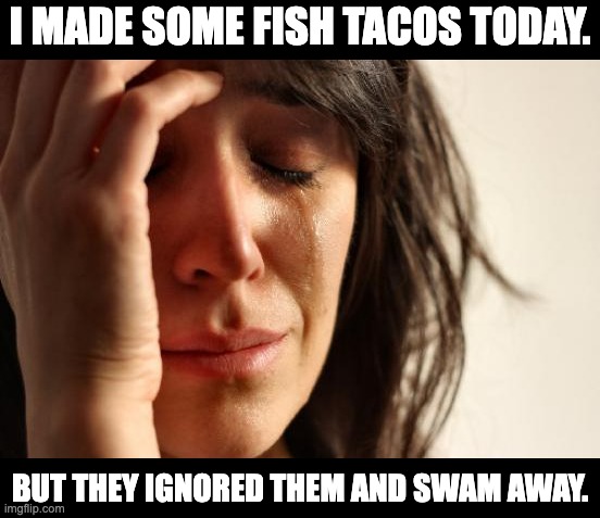 Tacos | I MADE SOME FISH TACOS TODAY. BUT THEY IGNORED THEM AND SWAM AWAY. | image tagged in memes,first world problems | made w/ Imgflip meme maker