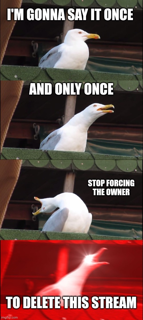 Inhaling Seagull Meme | I'M GONNA SAY IT ONCE; AND ONLY ONCE; STOP FORCING THE OWNER; TO DELETE THIS STREAM | image tagged in memes,inhaling seagull | made w/ Imgflip meme maker