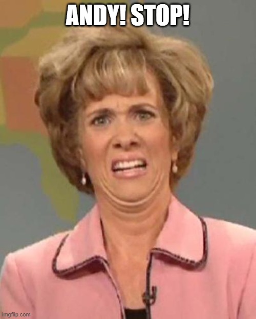Disgusted Kristin Wiig | ANDY! STOP! | image tagged in disgusted kristin wiig | made w/ Imgflip meme maker