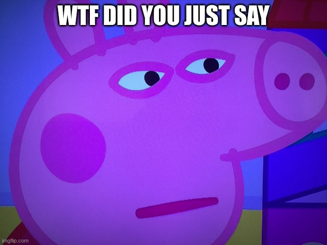 What did you say Peppa Pig | WTF DID YOU JUST SAY | image tagged in what did you say peppa pig | made w/ Imgflip meme maker