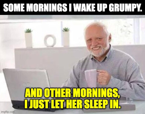 Grumpy | SOME MORNINGS I WAKE UP GRUMPY. AND OTHER MORNINGS, I JUST LET HER SLEEP IN. | image tagged in harold | made w/ Imgflip meme maker