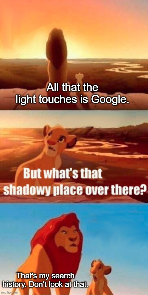 Simba Shadowy Place Meme | All that the light touches is Google. That's my search history. Don't look at that. | image tagged in memes,simba shadowy place | made w/ Imgflip meme maker
