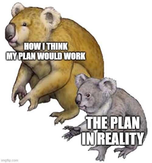 How I think my plan would work | HOW I THINK MY PLAN WOULD WORK; THE PLAN IN REALITY | image tagged in koala | made w/ Imgflip meme maker