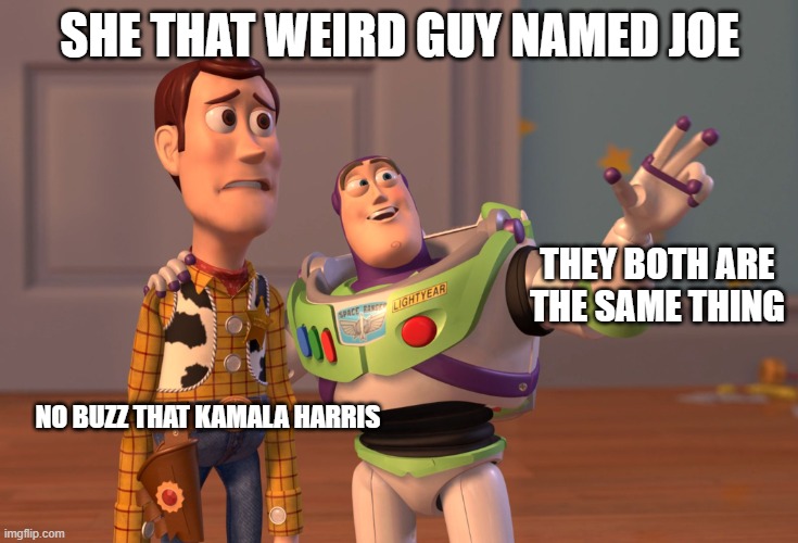 JOE OR HARRIS ??? | SHE THAT WEIRD GUY NAMED JOE; THEY BOTH ARE THE SAME THING; NO BUZZ THAT KAMALA HARRIS | image tagged in memes,x x everywhere | made w/ Imgflip meme maker
