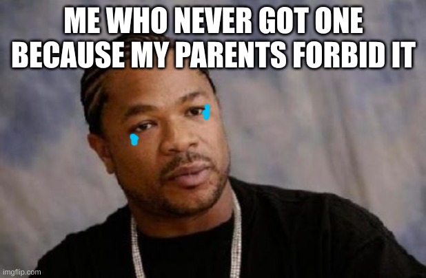 Serious Xzibit Meme | ME WHO NEVER GOT ONE BECAUSE MY PARENTS FORBID IT | image tagged in memes,serious xzibit | made w/ Imgflip meme maker