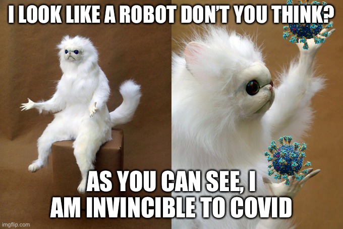 Persian Cat Room Guardian | I LOOK LIKE A ROBOT DON’T YOU THINK? AS YOU CAN SEE, I AM INVINCIBLE TO COVID | image tagged in memes,persian cat room guardian | made w/ Imgflip meme maker